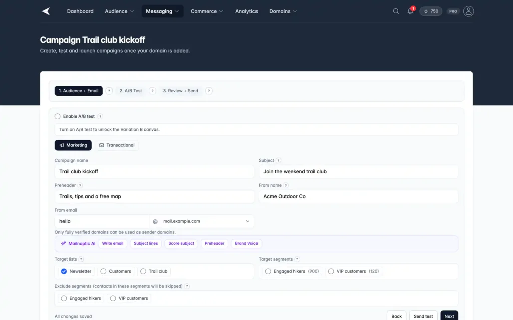 Mailnaptic campaign builder with fields for name, subject, sender domain, target lists and segments, using sample data